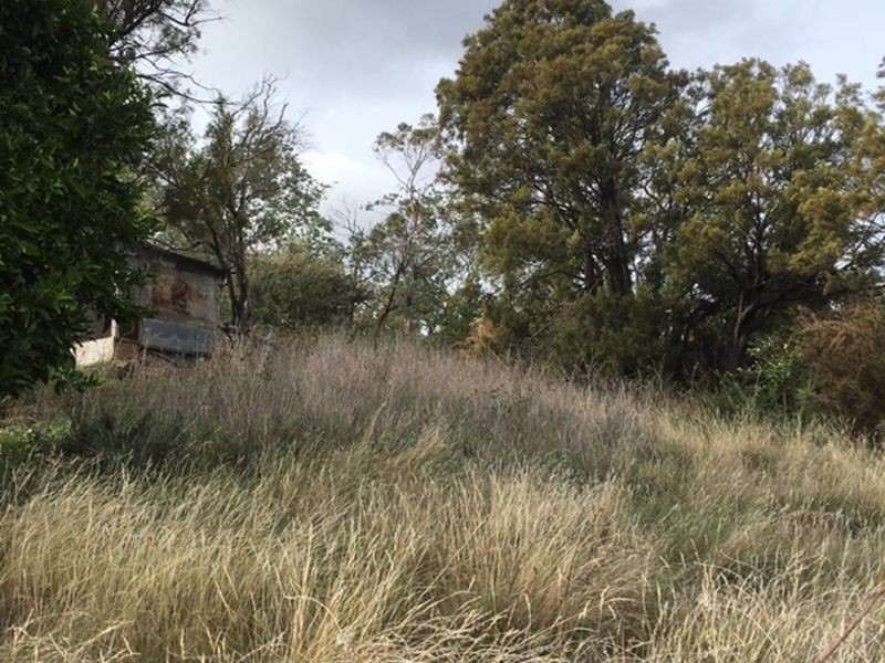 28 Tasman Highway, Waverley TAS 7250