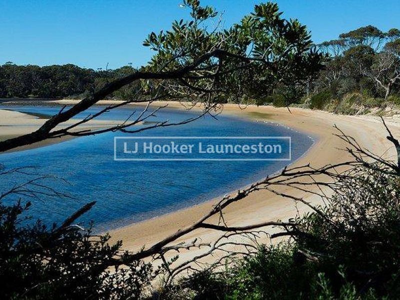 8 Boobyalla Drive, Black River TAS 7321