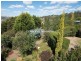 33 Bond Street, Kings Meadows TAS 7249