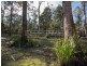 1350 Frankford Road, Glengarry TAS 7275