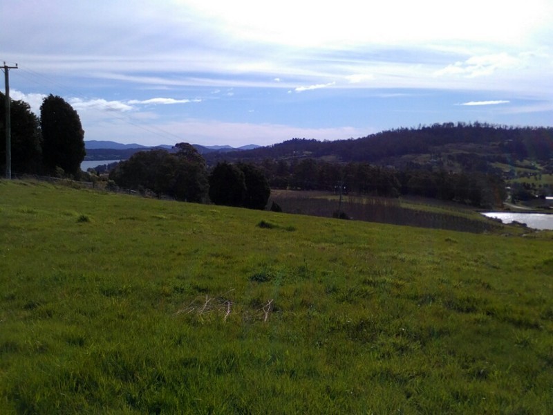 Lot 1/49 Hillwood Road, Hillwood TAS 7252