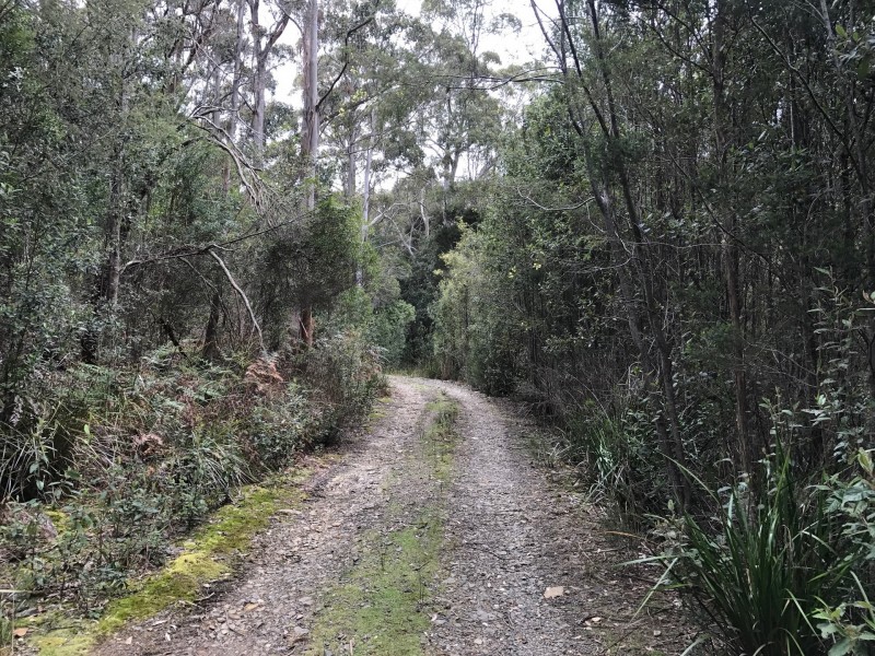 691A Brown Mountain Road, Karoola TAS 7267