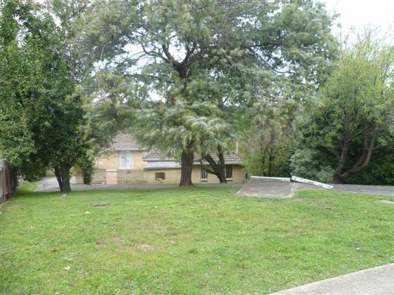 20 Crandon Crescent, Newnham TAS 7248