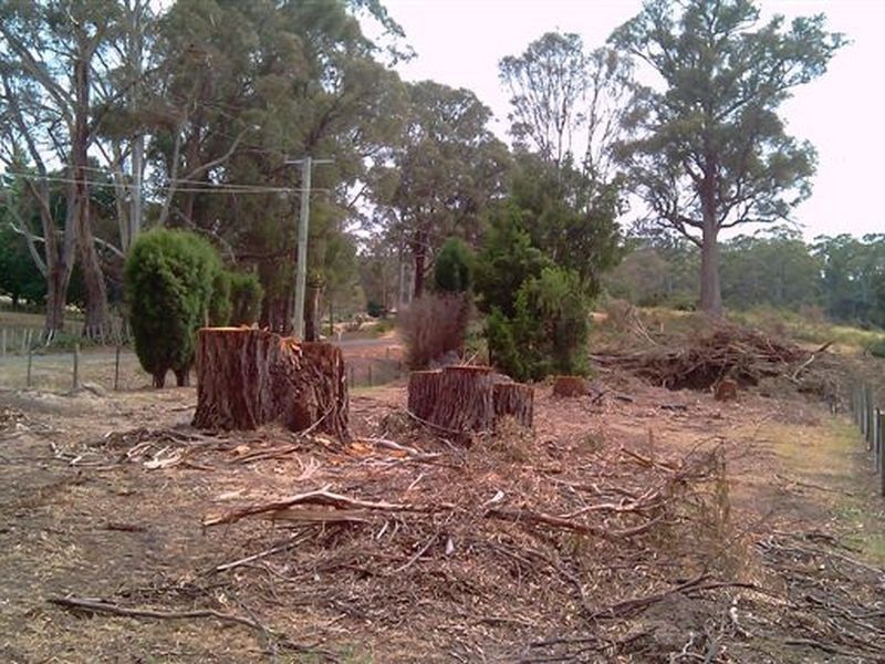 Lot 7/24 Ridge Street, Hillwood TAS 7252