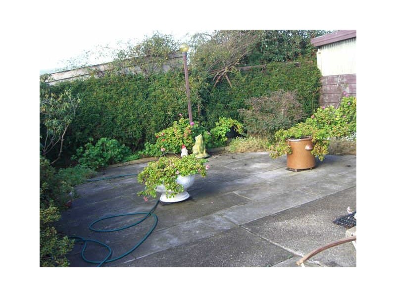 50 Napier Street, Beauty Point TAS 7270