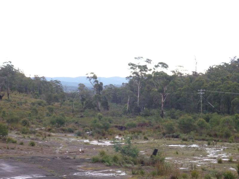 71 Bullocks Head Road, Mount Direction TAS 7252