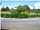 20 Devon Hills Road, Devon Hills TAS 7300