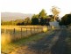 Swan Point TAS 7275