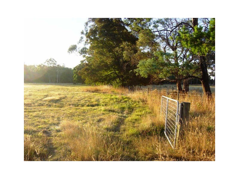 Swan Point TAS 7275