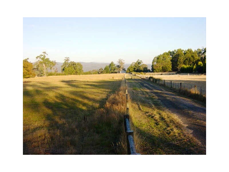 Swan Point TAS 7275