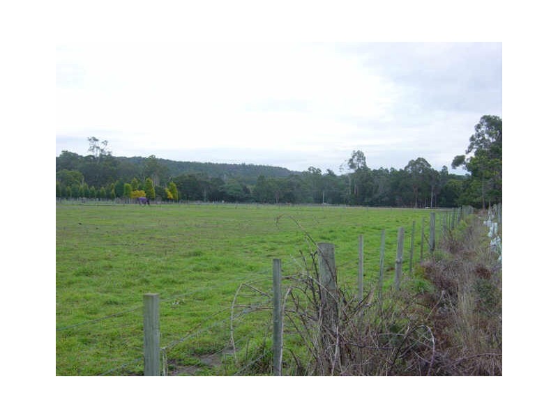 Swan Point TAS 7275