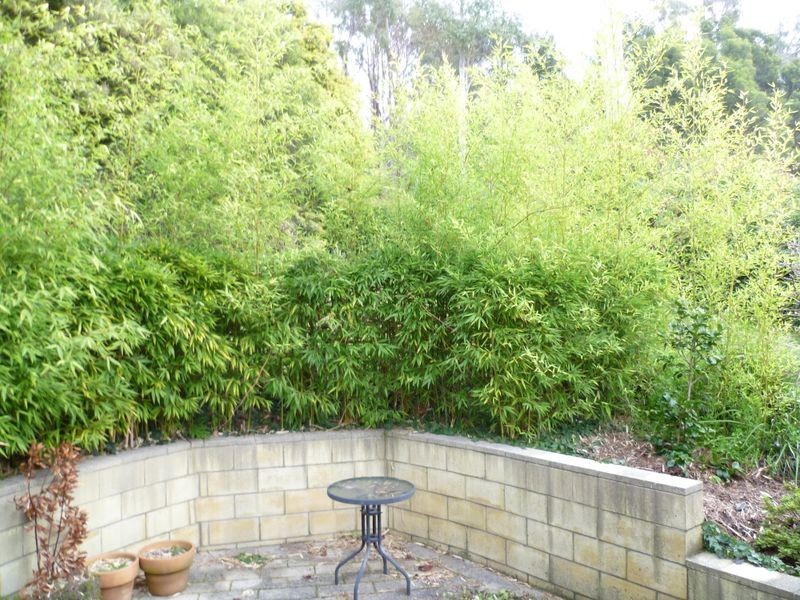 103 New World Avenue, Trevallyn TAS 7250