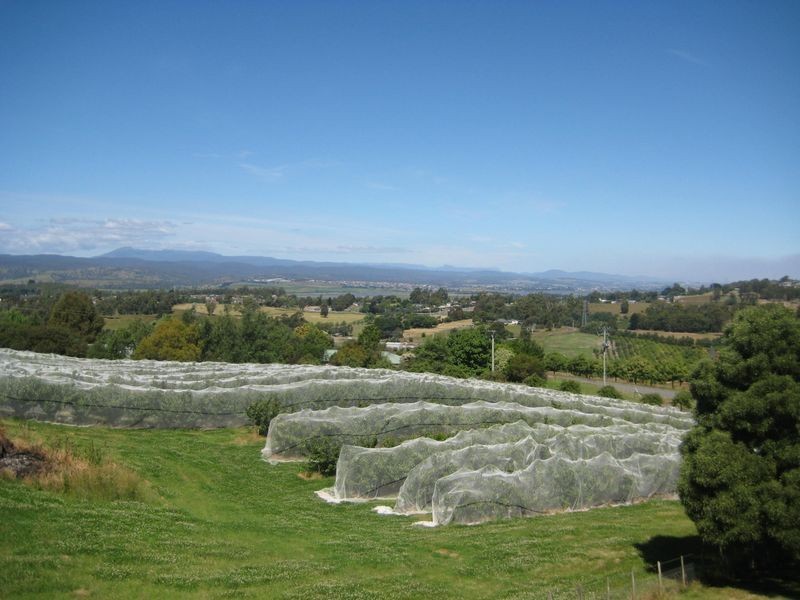 14 Atkinson Road, Grindelwald TAS 7277