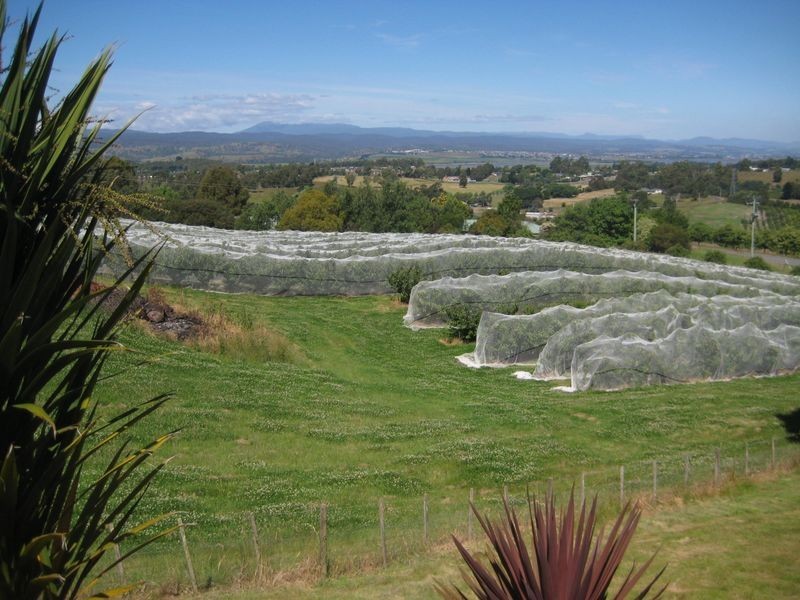 14 Atkinson Road, Grindelwald TAS 7277