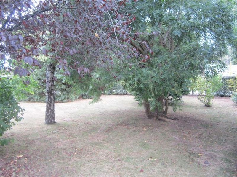 13 Morley Road, Riverside TAS 7250