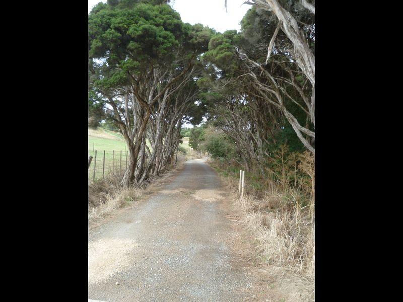 1306 West Tamar Highway, Legana TAS 7277