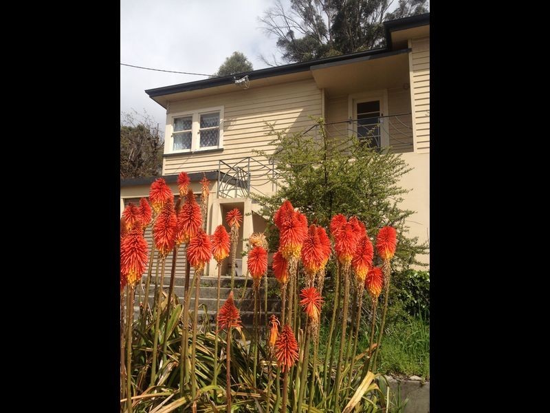 3/101 West Tamar Highway, Riverside TAS 7250