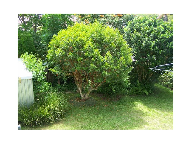 19 Kathleen Avenue, Southport QLD 4215