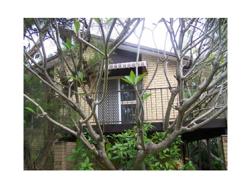 141 Bamboo Avenue, Benowa QLD 4217