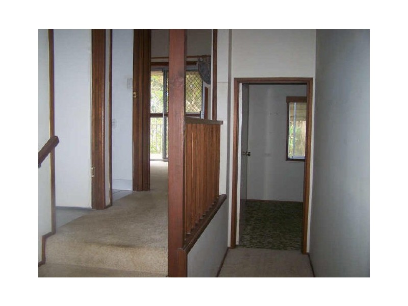 141 Bamboo Avenue, Benowa QLD 4217