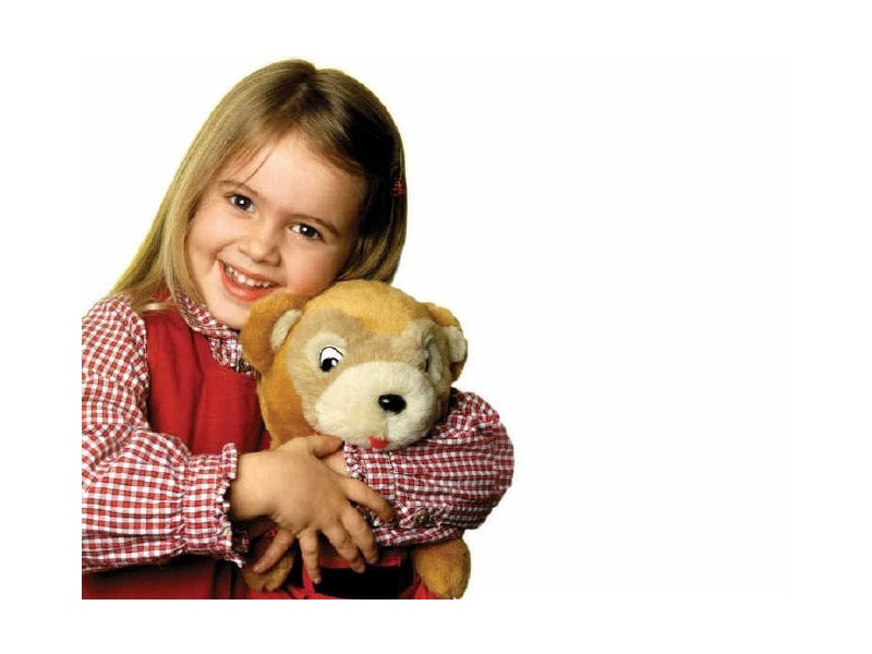 17 Andrew Street, Melton South VIC 3338