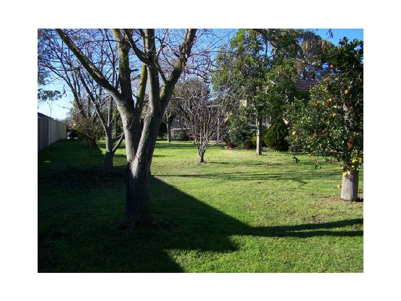 16 Fairbairn Street, Lavington NSW 2641