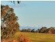 37 Newton Circuit, Thurgoona NSW 2640