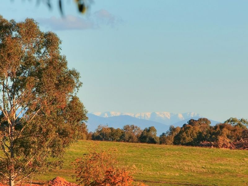 37 Newton Circuit, Thurgoona NSW 2640