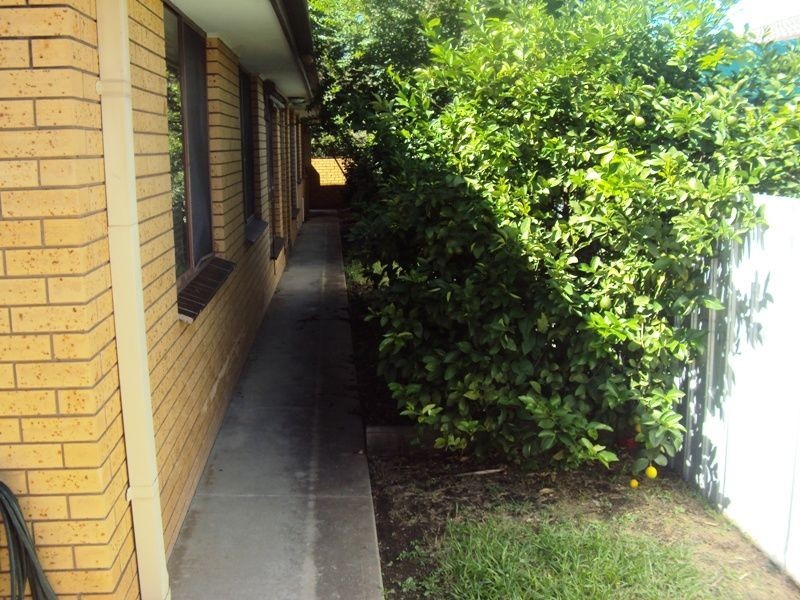 1/409 Griffith Road, Lavington NSW 2641