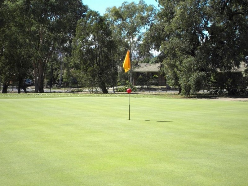 64 Fairway Gardens Road, Thurgoona NSW 2640