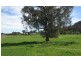 Lot 3 120 Mitchell Road, Table Top NSW 2640