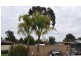 32 Goolagar Crescent, Lavington NSW 2641