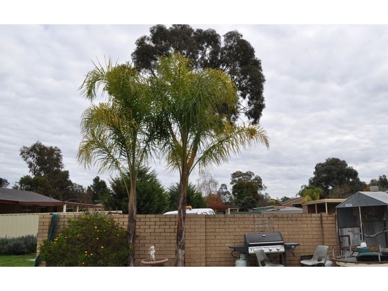 32 Goolagar Crescent, Lavington NSW 2641