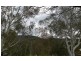 19 Jitema Street, Dartmouth VIC 3701