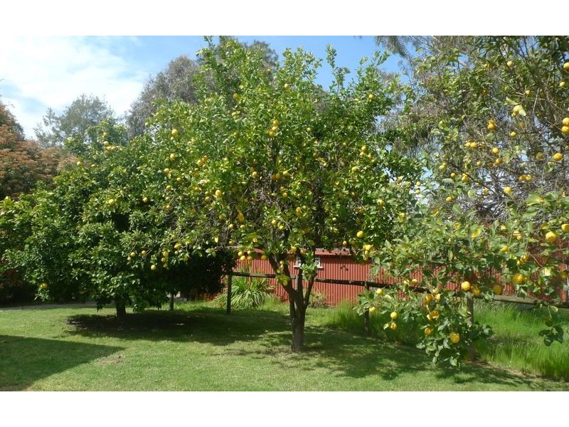 206 Tynan Road, Table Top NSW 2640