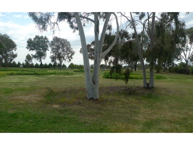 206 Tynan Road, Table Top NSW 2640
