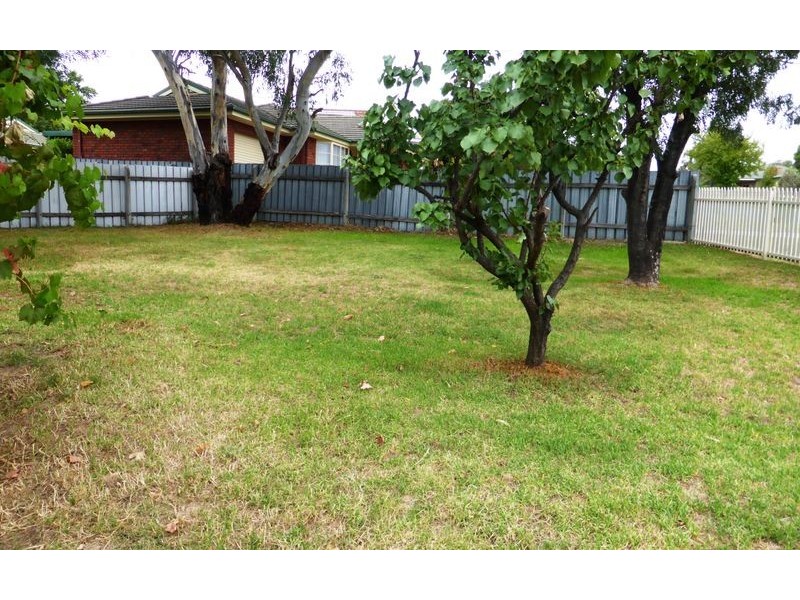 430 Solomon Street, Albury NSW 2640