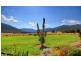 580 Redbank-Mongans Road, Mount Beauty VIC 3699