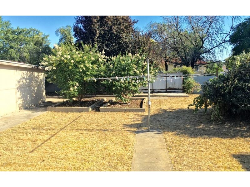 144 Plover Street, Albury NSW 2640