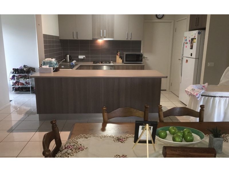 52 Cornwall Avenue, Springdale Heights NSW 2641