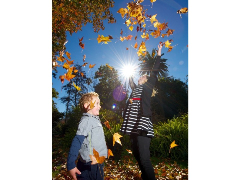 Lot 533 Riverboat Drive, Thurgoona NSW 2640