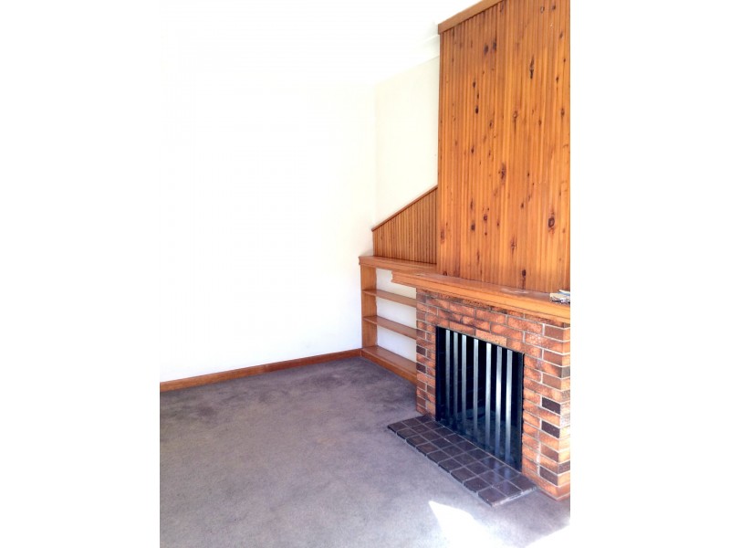 3/353 Buckingham Street, Lavington NSW 2641