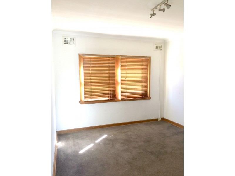 3/353 Buckingham Street, Lavington NSW 2641