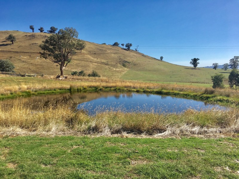 71 Mahers Road, Talgarno VIC 3691