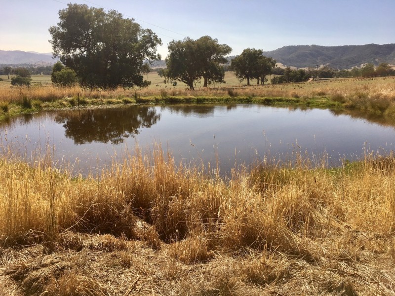 71 Mahers Road, Talgarno VIC 3691