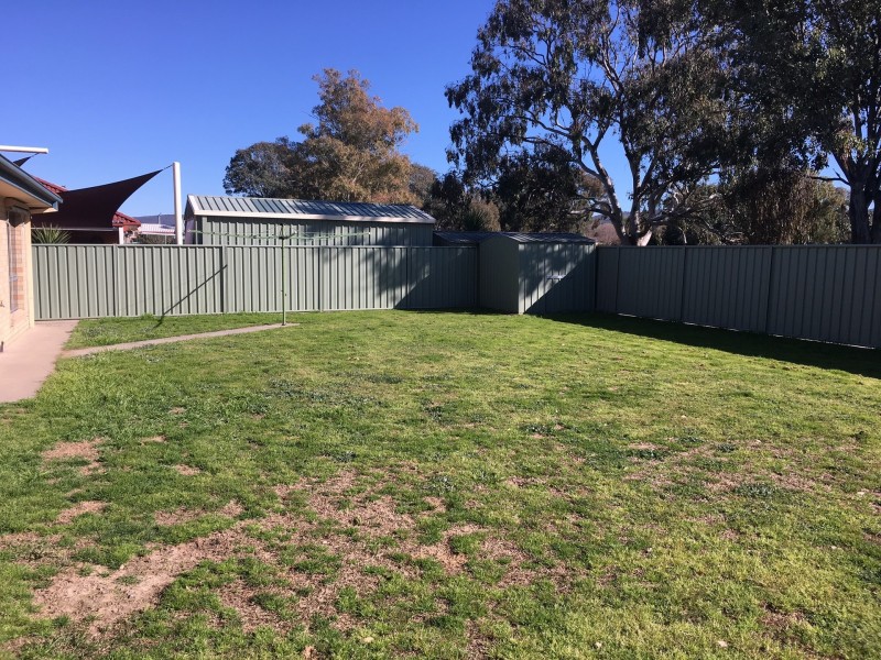 564 Daly Street, Lavington NSW 2641