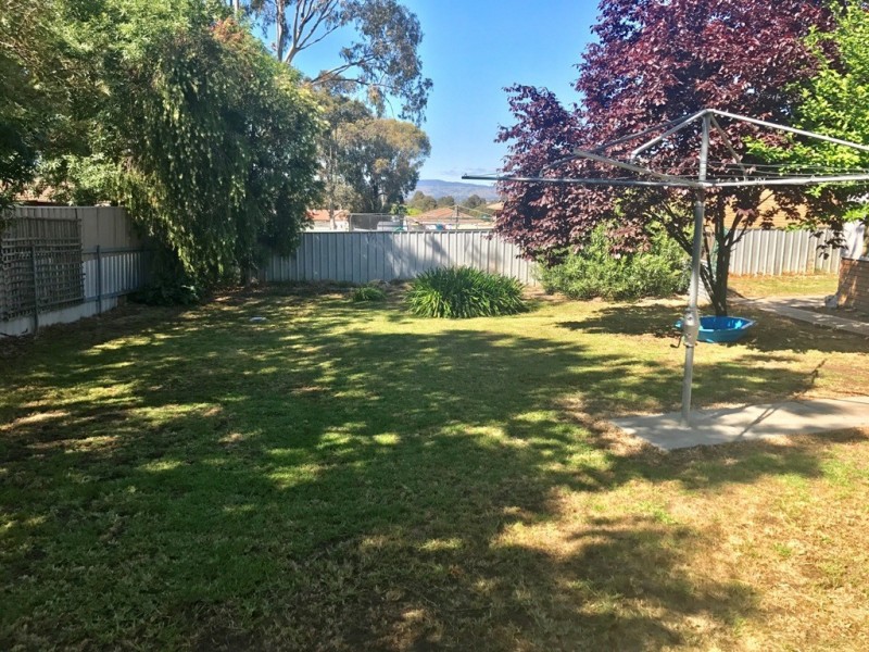 16 Cassia Street, West Albury NSW 2640