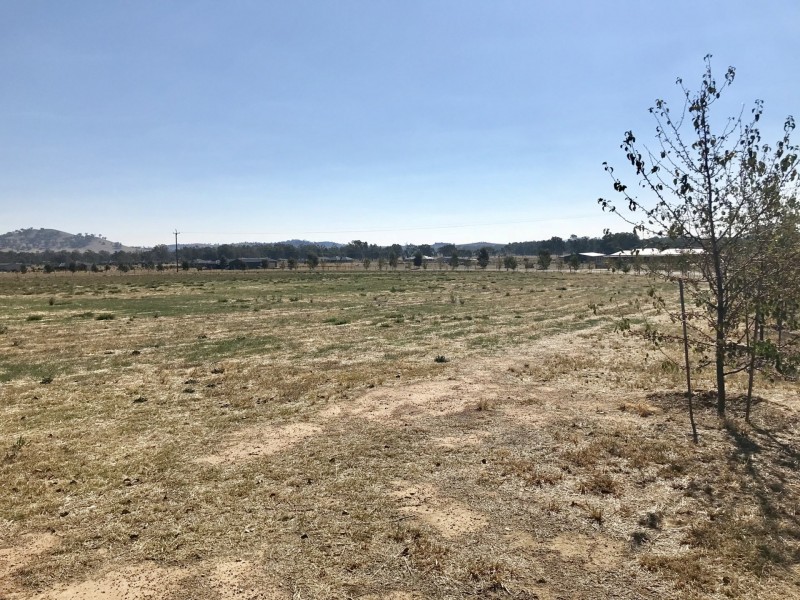 44 Coogera Circuit, Jindera NSW 2642