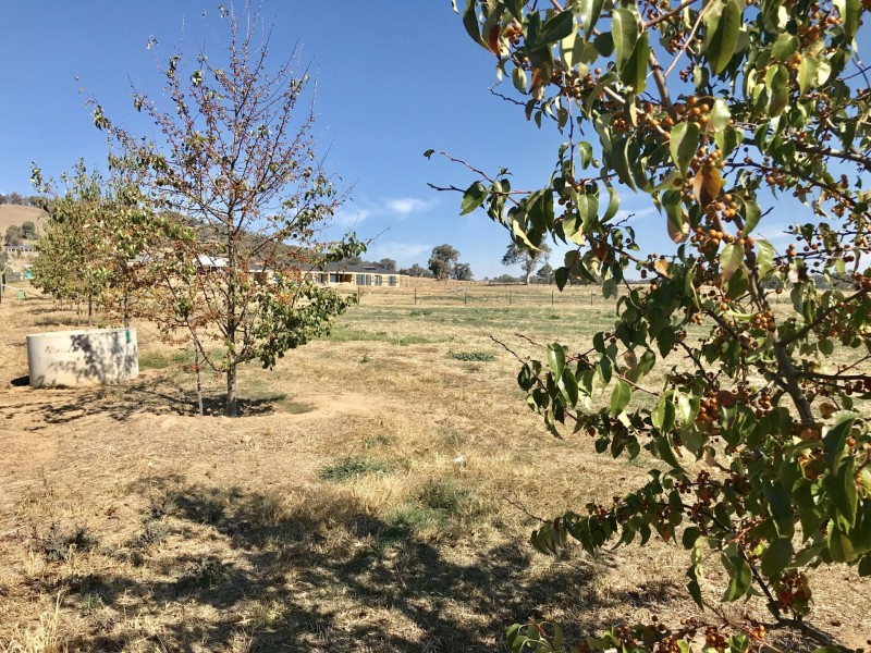 44 Coogera Circuit, Jindera NSW 2642