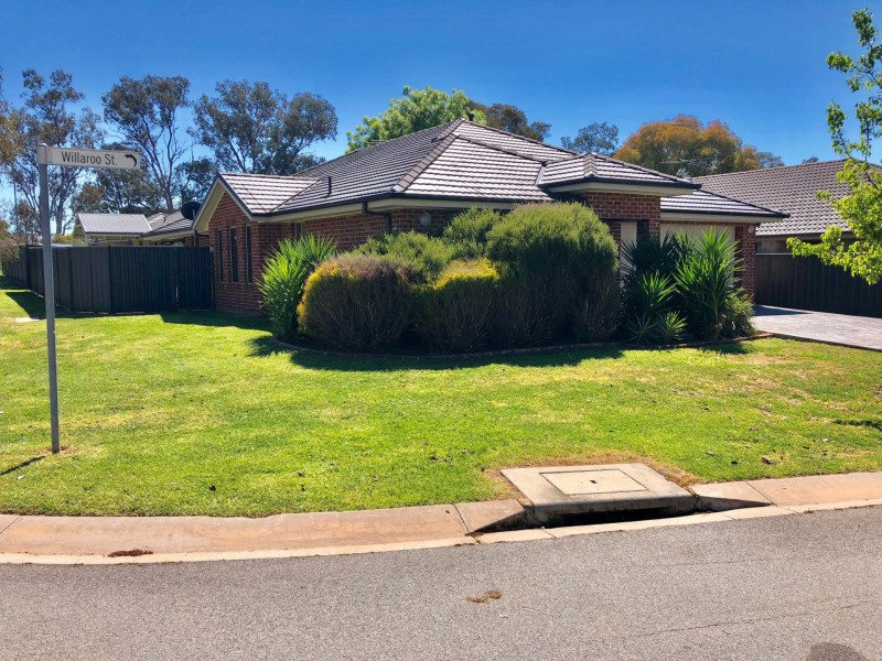 20 willaroo street, Thurgoona NSW 2640